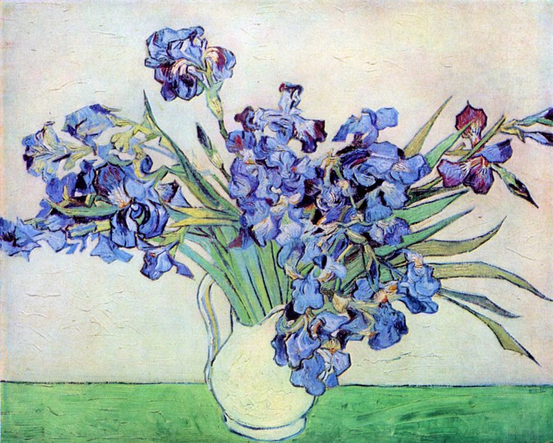 Van Gogh Irises 2 canvas print