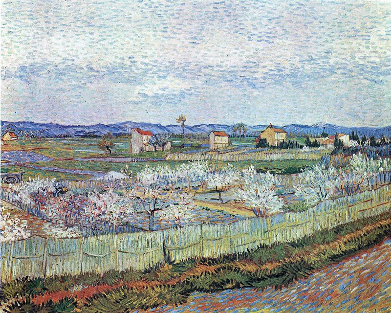 Van Gogh La Crau Near Arles With Blossoming Peach Trees canvas print