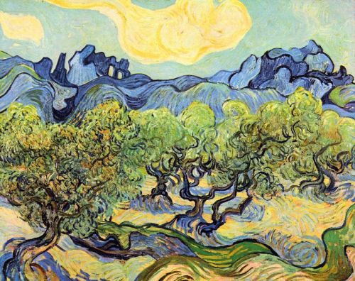 Van Gogh Landscape With Olive Trees canvas print