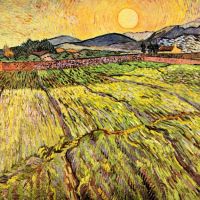 Paisaje de Van Gogh con campos arados