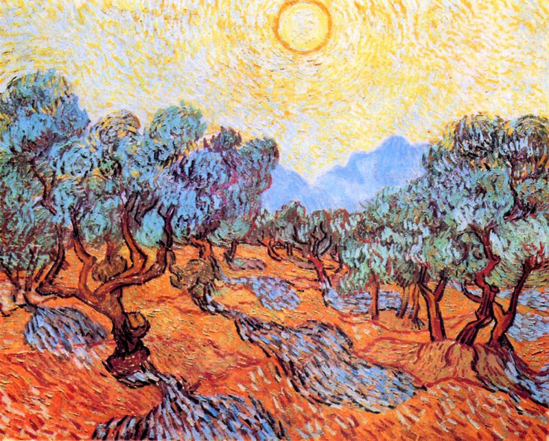 Van Gogh Olive Grove canvas print