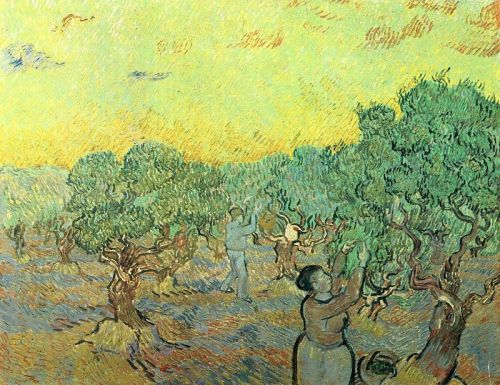 Van Gogh Olive Pickers In A Grove canvas print