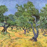 Van Gogh Olive Trees