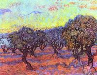Van Gogh Olive Trees Number 2 canvas print