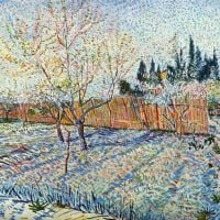Huerto de Van Gogh con ciprés