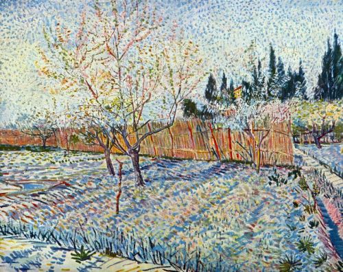 Van Gogh Orchard With Cypress canvas print