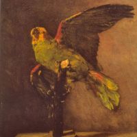 Van Gogh Parrot