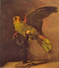 Van-Gogh-Papagei
