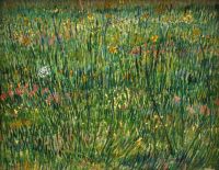 Zona d'erba di Van Gogh