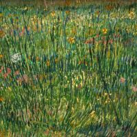 Parche de hierba de Van Gogh