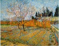 Van-Gogh-Pfirsichbäume