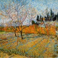 Van Gogh Peach Trees