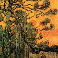 Pinos de Van Gogh contra un cielo rojo con sol poniente