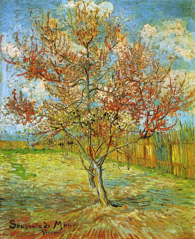 Van Gogh Pink Peach Tree In Blossom Reminiscence Of Mauve canvas print