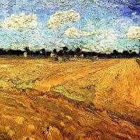 Van Gogh ploegde het veld