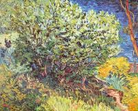 Van Gogh Slip Away canvas print