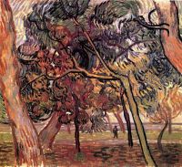 Van Gogh Study Of Pine Trees canvas print