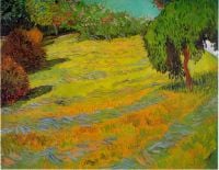 Van Gogh sonniger Rasen