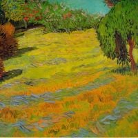 Césped soleado de Van Gogh