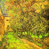 Van Gogh De tuin van de kliniek van Saint-remy