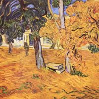 Van Gogh Het park van het Sint-Paulusziekenhuis in Saint-remy