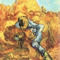 Carpeta de hojas de Van Gogh