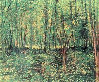 Van-Gogh-Bäume und Unterholz