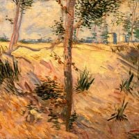 Árboles de Van Gogh en un campo en un día soleado