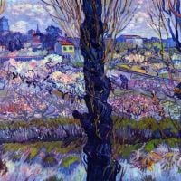Van Gogh Gezicht op Arles