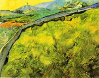 Van Gogh Wall canvas print