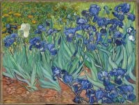 Vincent Van Gogh Irisese canvas print