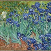 Vincent Van Gogh Irisese