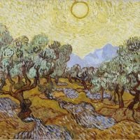 Vincent Van Gogh Olivo 1889