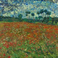 Vincent Van Gogh campo de amapolas