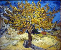 Vincent Van Gogh Le mûrier en automne