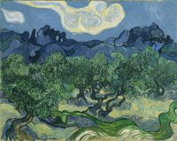 Vincent Van Gogh The Olive Trees At Saint Remy canvas print