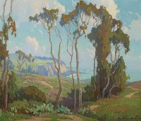 Wachtel Elmer Eucalyptus In Laguna Hills canvas print
