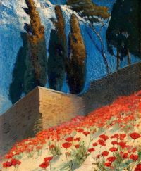 Wallander Alf Poppies Hillside   Southern France canvas print