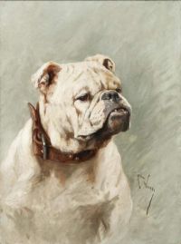 Wardle Arthur Bulldog canvas print