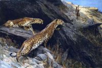 Wardle Arthur Indian Leopards canvas print