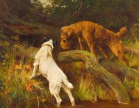 Wardle Arthur Irish And Wire Fox Terriers Inspecting A Burrow 1904 canvas print