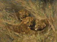 Wardle Arthur Lion Cubs Leinwanddruck