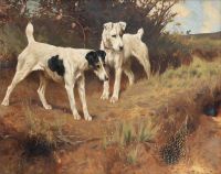 Wardle Arthur Terriers canvas print