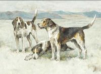 Wardle Arthur Welsh Hounds From The Packs Of The Buckley And The Hon. H.c.wynn canvas print