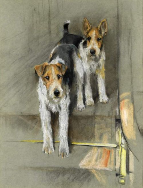 Wardle Arthur Wire Haired Terriers On A Staircase canvas print