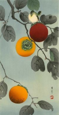 Watanabe Seitei Bird On A Persimmon Tree canvas print