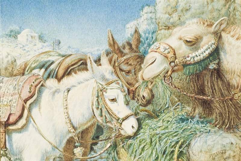 Webbe William James A Feed Before The Journey canvas print