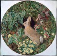 ويببي ويليام جيمس أرنب وسط السرخس والنباتات المزهرة 1855