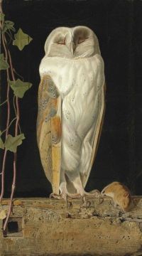 Webbe William James The White Owl 1856 canvas print