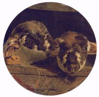Webbe William James Two Lambs In A Barn 1853 canvas print